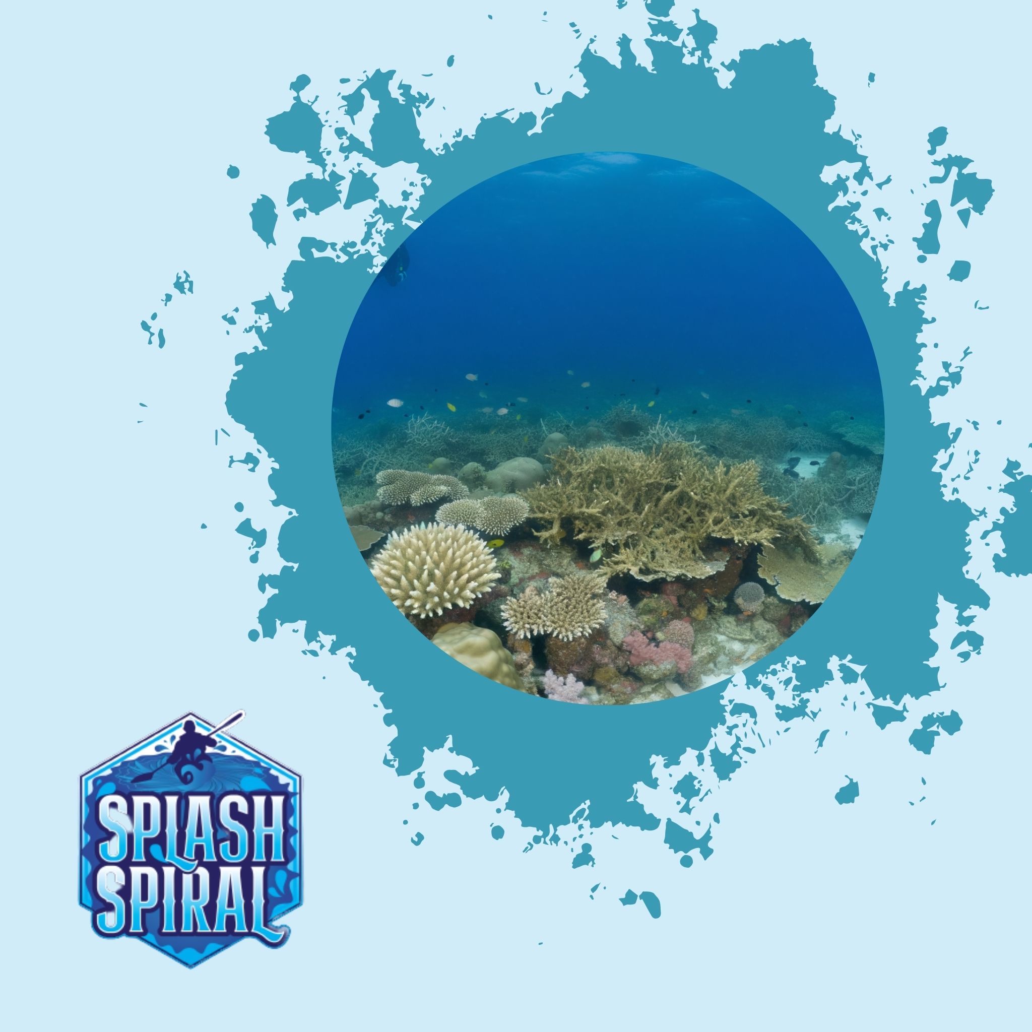 Ocean Acidification Impacts on Dive Sites and Marine Life