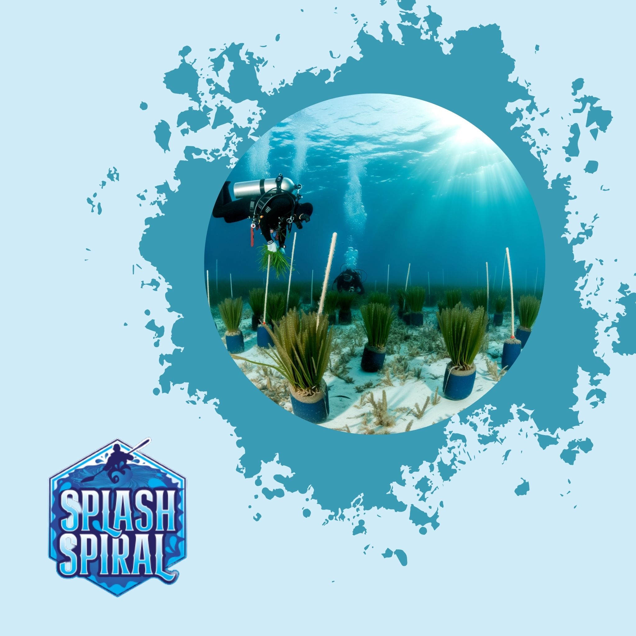 Seagrass Restoration How Divers Can Contribute to Meadow Recovery