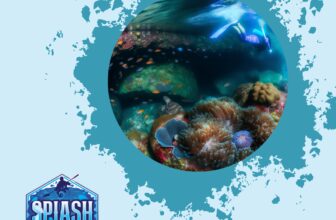 Prescription Snorkel Masks: How to See Clearly Underwater with the Right Lenses