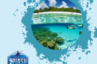 Snorkel Mask Sizes: Finding the Perfect Fit for Comfortable and Clear Snorkeling