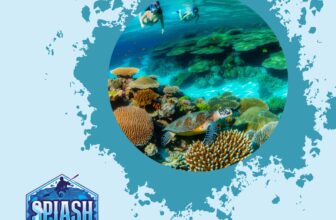 Snorkel Masks for Beginners: Top Choices for Comfort and Ease of Use