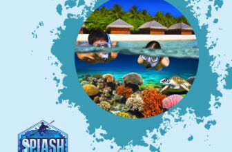 Snorkel Masks for Kids: Best Options for Younger Snorkelers