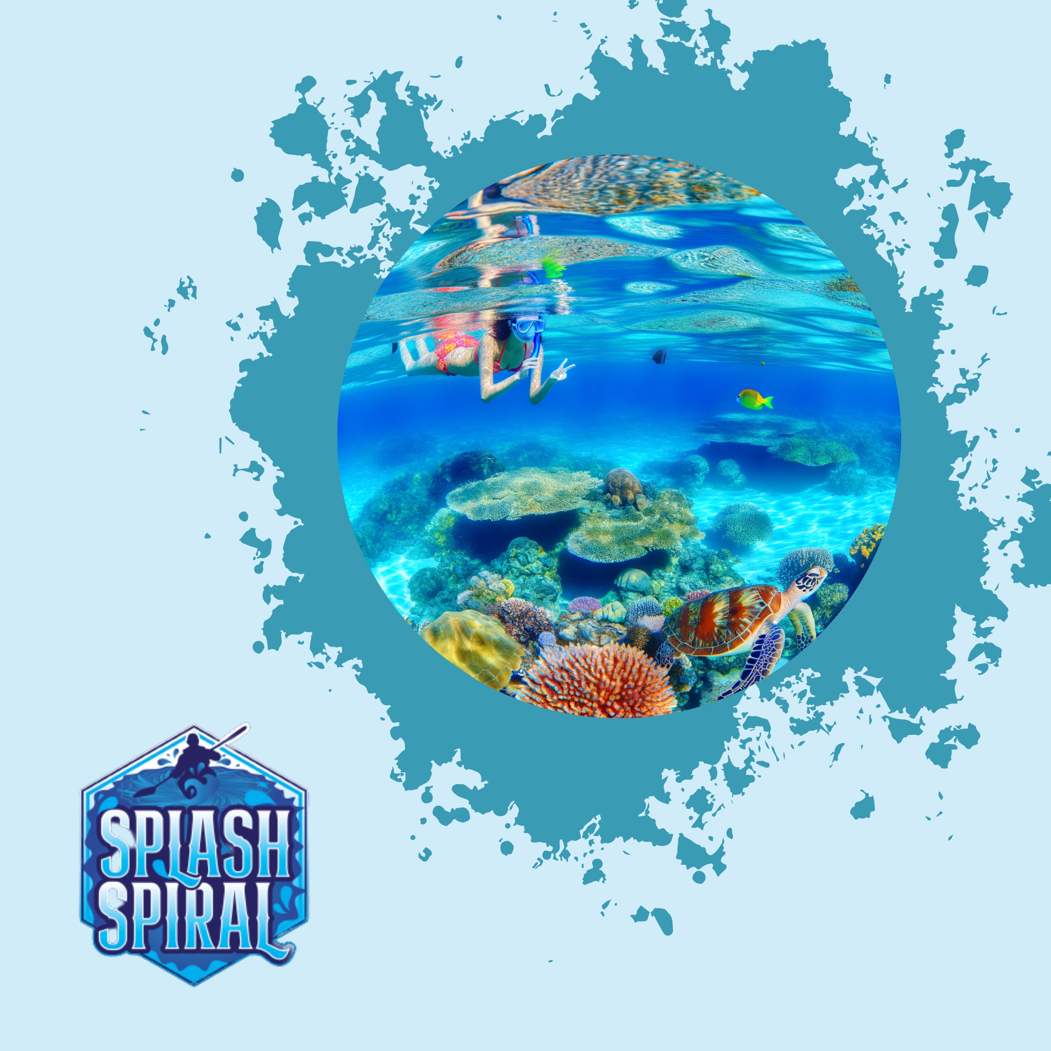 Snorkeling in December in the Great Barrier Reef: What to Expect from the Underwater Experience