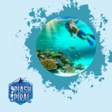 Advanced Snorkeling Locations in the Hawaiian Islands: Perfect Spots for Experienced Snorkelers