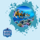 Best Bahamas Snorkeling: From Crystal Waters to Stunning Underwater Landscapes