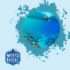 Sri Lanka Snorkeling: Swim with Colorful Fish and Coral off the Golden Coast