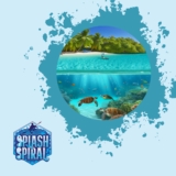 Best Snorkel Masks: Top-Rated Options for Clear Visibility and Comfort