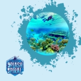 Best Snorkeling Season on the Hawaiian Islands: When to Visit for the Best Experience