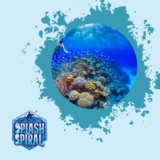 Best Snorkeling Spots in the Hawaiian Islands: Top Locations for Vibrant Underwater Views