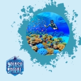 Best Time for Snorkeling in the Great Barrier Reef: When to Plan Your Trip for Optimal Conditions