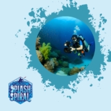 Best Underwater Camera Settings for Coral Reef Photography