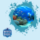 Best Underwater Photography and Videography Courses Online