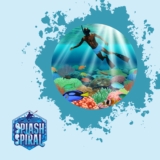 Best Underwater Visibility: Where and When to Snorkel for Crystal-Clear Views