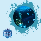 Bioluminescence in the Ocean A Diver’s Guide to Light-Producing Organisms