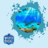 Budget Snorkel Masks: Affordable Options that Don’t Compromise on Quality