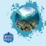 Capturing Underwater Landscapes Wide-Angle Photography Tips