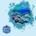 Sustainable Seafood Guide Making Ocean-Friendly Choices as a Diver