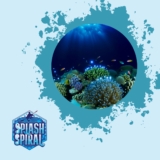 Coral Spawning Witnessing the Renewal of Reef Ecosystems