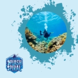 Decompression Diving, Safe and Sound: Navigating the Depths with Expertise