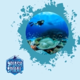 Discover the Best Caribbean Snorkeling Spots for an Unforgettable Underwater Adventure