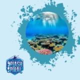 Dive Site Recommendations in the Hawaiian Islands: Top Places for the Ultimate Snorkeling Experience