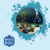 Diving in Marine Lakes Unique Ecosystems and Conservation Challenges