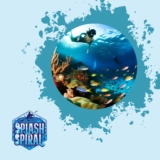 Eco-Friendly Snorkeling: How to Explore the Underwater World While Protecting the Environment