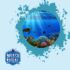 Top Snorkeling Spots in the Caribbean: Explore Diverse and Colorful Marine Life