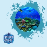 Florida Snorkeling Sites: Explore Vibrant Reefs and Marine Wildlife Hotspots