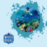 Full-Face Snorkel Masks: Pros, Cons, and Top-Rated Options for Snorkelers