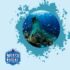 The Role of Artificial Reefs in Marine Conservation