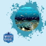 Hagfish The Unsung Heroes of Ocean Floor Cleanup