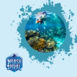 Hawaiian Coral Reefs: Discover the Vibrant Underwater World of Hawaii