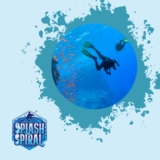 How much does a scuba diving trip cost?