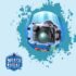 Underwater Videography 101: Essential Techniques for Captivating Footage