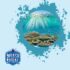 Top Underwater Photography Gear for Compact Camera Users