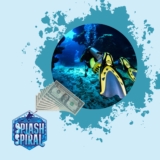 Deep Dive into Profits: How to Make Money from Scuba Diving
