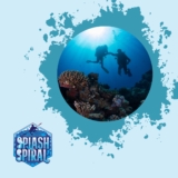 How to start scuba diving