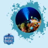 How to Use Snoot Lighting in Underwater Macro Photography