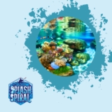 Kauai Marine Life: What to Expect When Snorkeling in the Garden Island