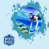 Marine Life Identification: How to Recognize the Species You’ll Encounter Underwater