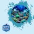 Underwater Light Pollution Impacts on Marine Life and Diver Responsibility