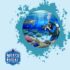 Best Underwater Camera Setups for Macro Videography