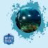 Best Underwater Camera Settings for Blue Water Diving