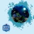 How to Choose the Perfect Underwater Housing for Your DSLR