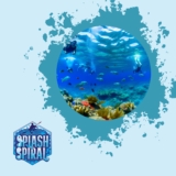 Maui Snorkeling Tips: How to Explore Maui’s Colorful Reefs and Marine Life