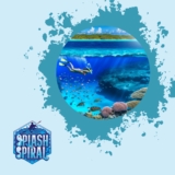 Night Snorkeling Tours in the Great Barrier Reef: Witness Marine Life in a New Light