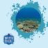 The Role of Scuba Divers in Combating Invasive Marine Species