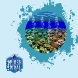 Ocean Alkalinity Understanding pH Changes in Marine Environments