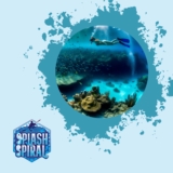 Popular Snorkel Destinations in the Hawaiian Islands: Where to Find Vibrant Marine Life